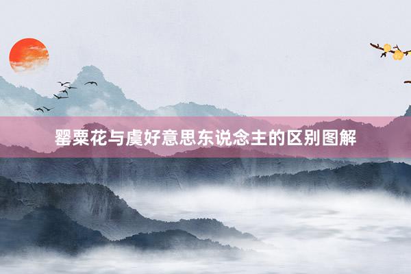 罂粟花与虞好意思东说念主的区别图解