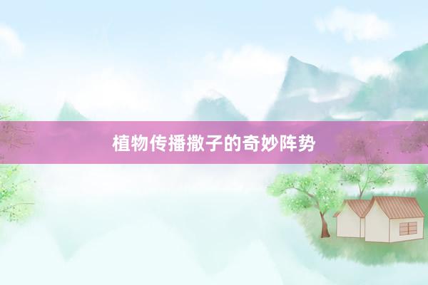 植物传播撒子的奇妙阵势